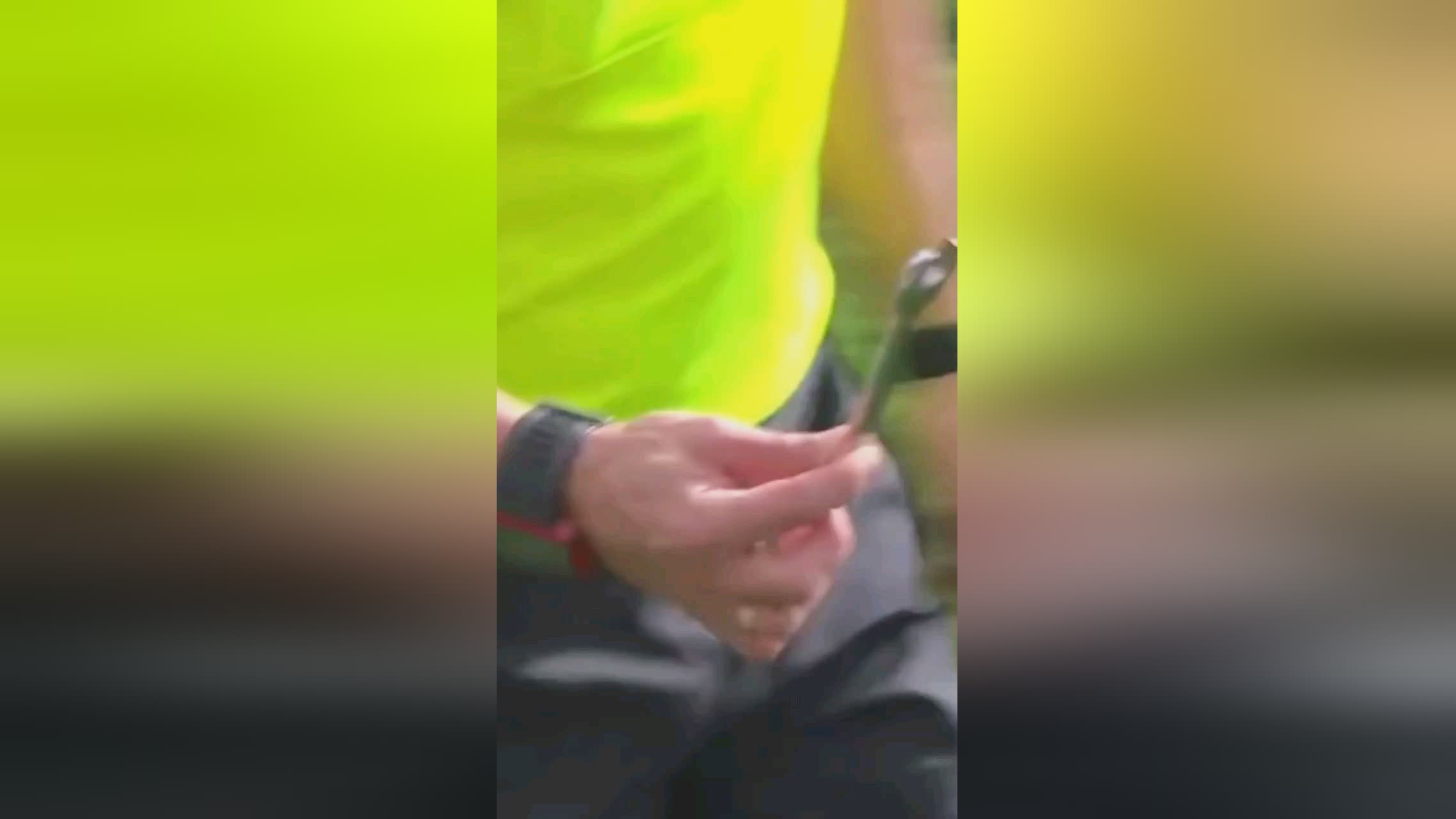 兰特可以